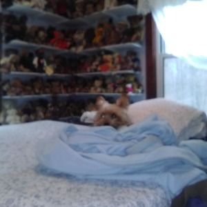 Meet your Posher, Maryann